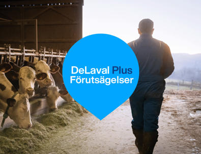 Farmer walking in the barn with cown eating on the left side - DeLaval Plus Predictions