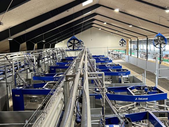 DeLaval VMS™ Batch Milking - VMS Anordnung - Ansicht von oben