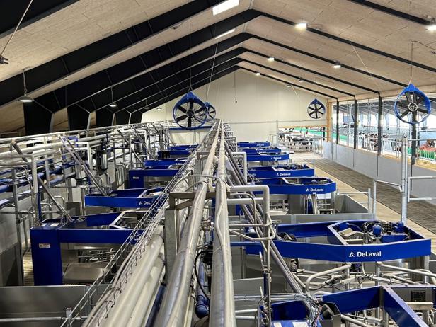 DeLaval VMS™ Batch Milking - VMS Anordnung - Ansicht von oben