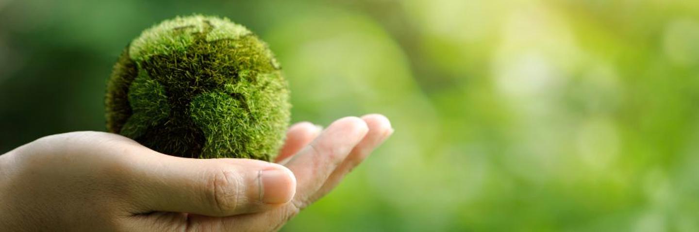 Sustainability, Hand holding a green ball symbolizing planet earth, green nature background.
