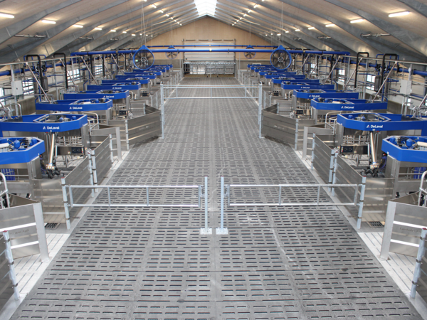 VMS Batch milking system in a barn