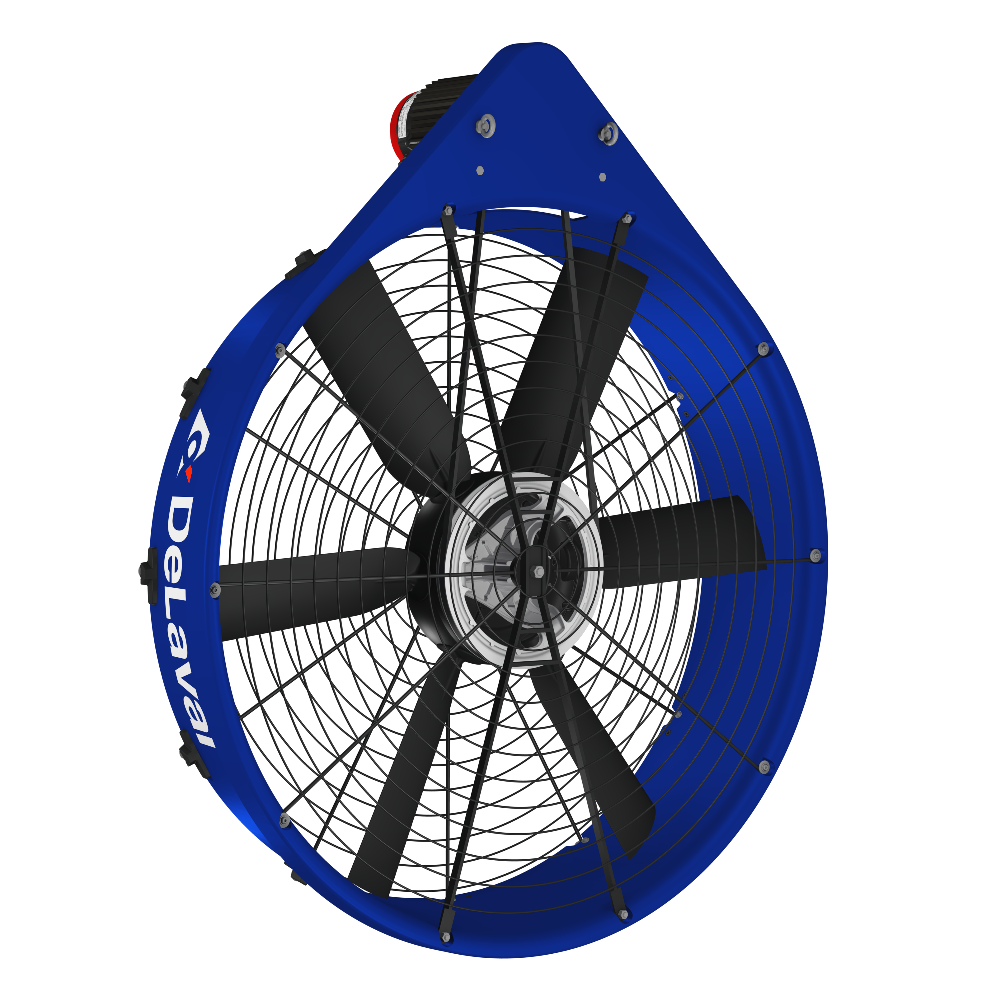 IMG_3042_more rotated.png