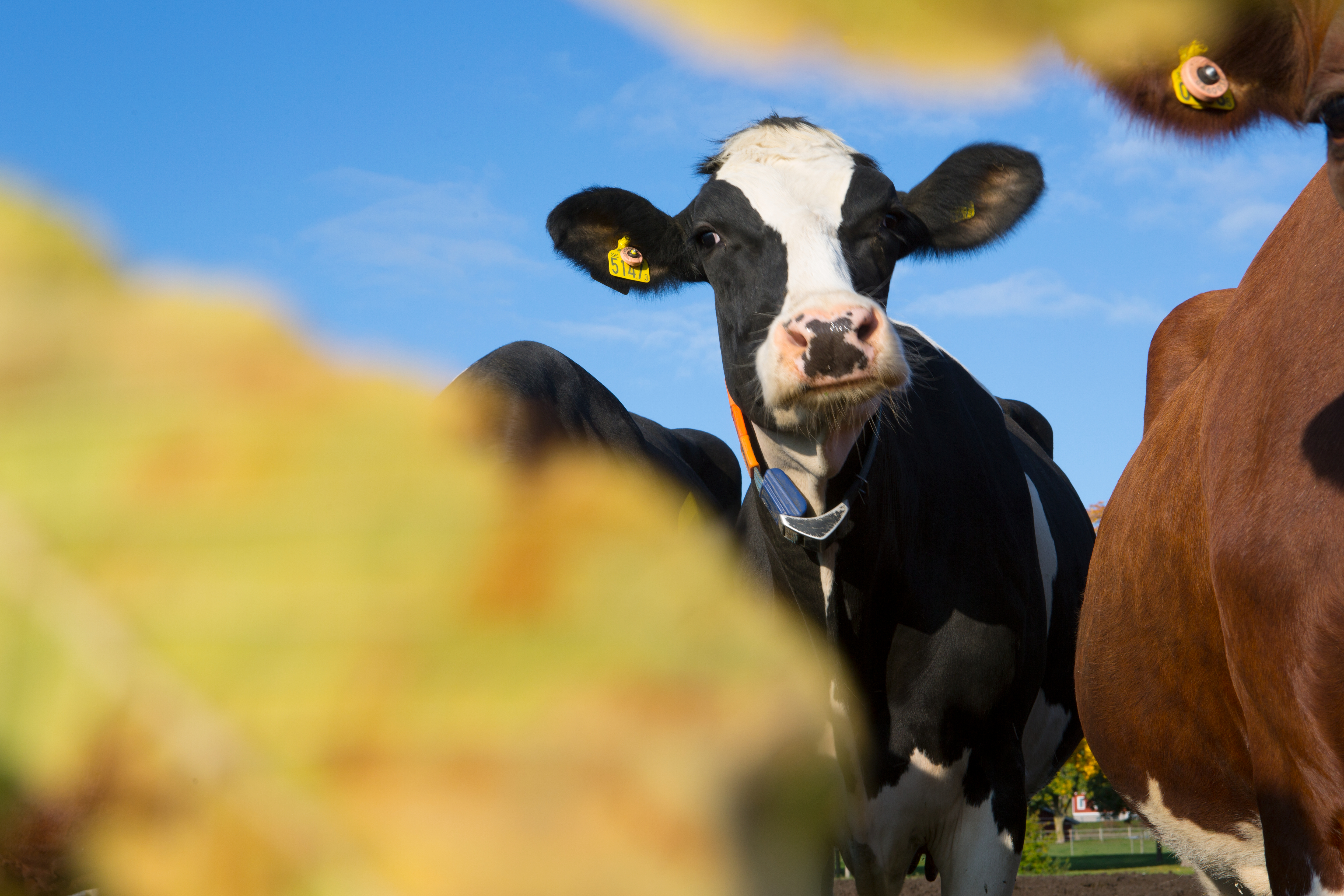 High resolution-_U3B9669.jpg