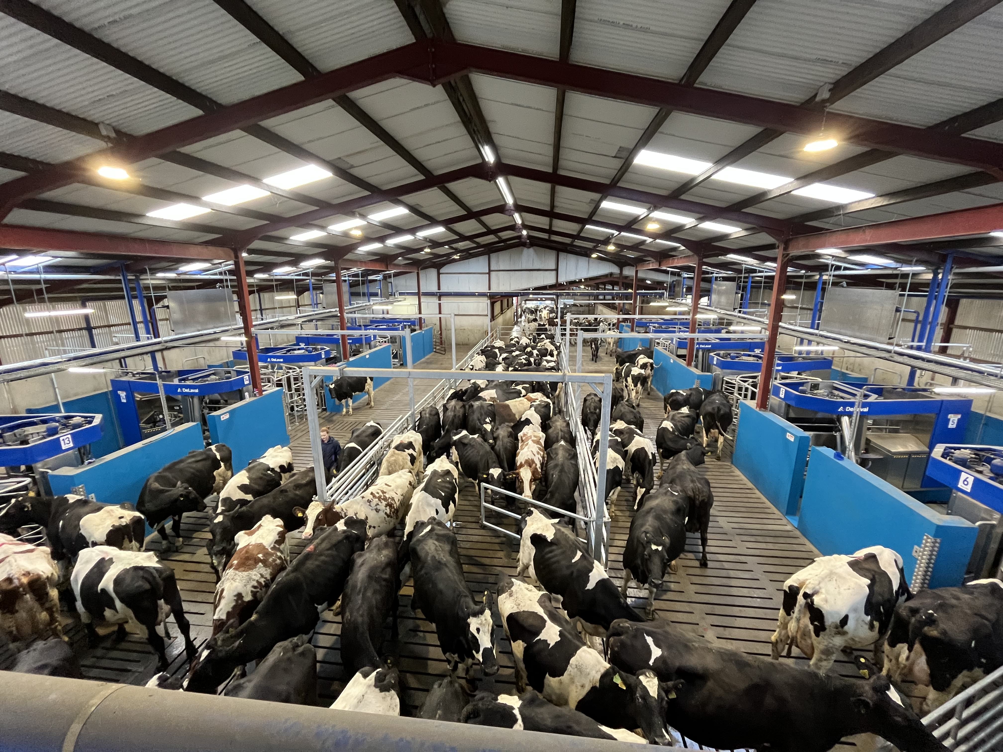 DeLaval VMS™ Batch Milking