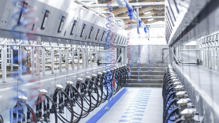 Der DeLaval P2100 ist für höchste Melkleistung und Langlebigkeit konzipiert. Die robuste Edelstahlkonstruktion bietet Stabilität und Hygiene auf höchstem Niveau. Dank der optimierten Kuhpositionierung und schnellen Ein- und Auslassmechanismen ermöglicht der P2100 kurze Melkzeiten, hohen Tierdurchsatz und entspanntes Melken – ideal für große Herden und professionelle Milchviehbetriebe.