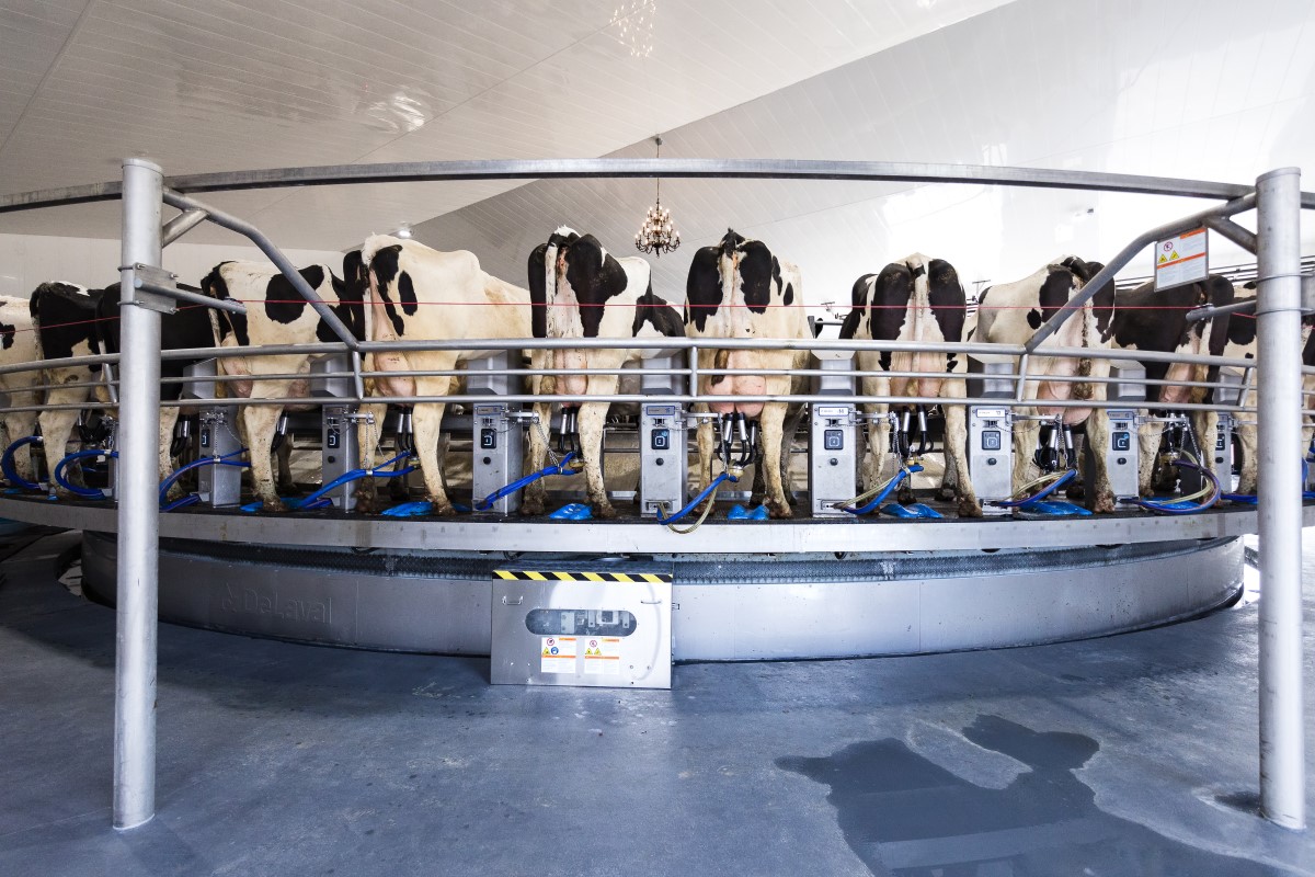 DeLaval rotary E500.jpg